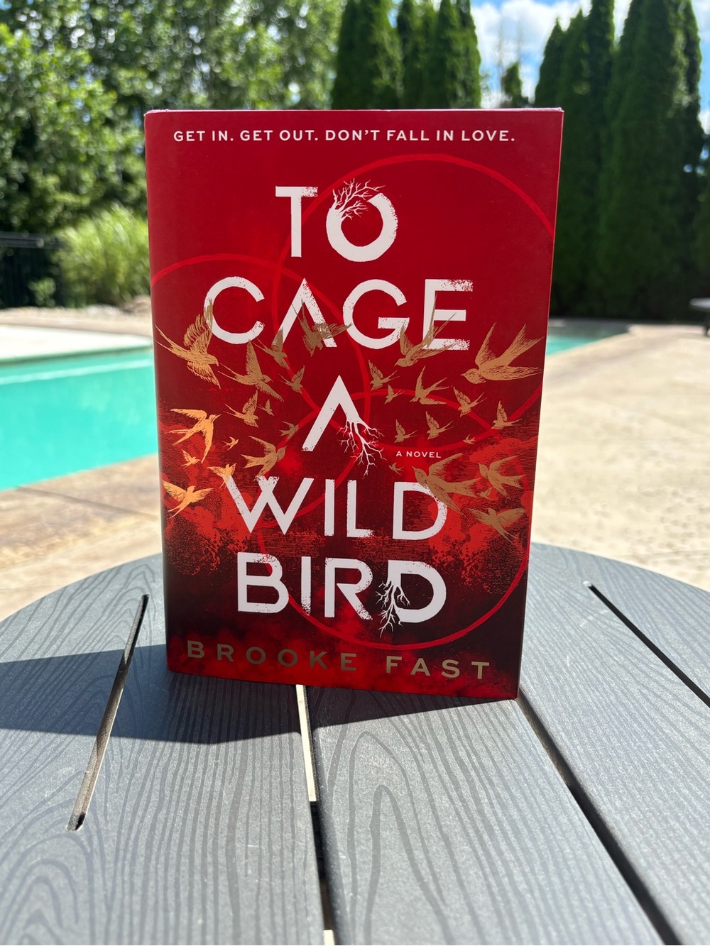 To Cage A Wild Bird by Brooke Fast. First Run Special Deluxe Edition, Hard Copy